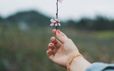 Dłonie – jak uchronić je przed przesuszeniem?