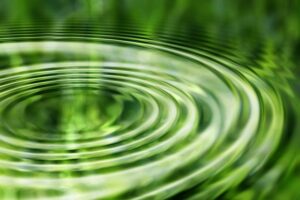 wykorzystanie platformy wibracyjnej