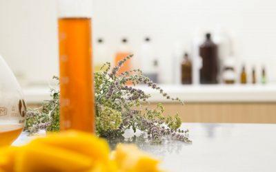 Kosmeceutyki w La Guèl – przegląd oferty